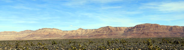 Panoramic photo of the desert with cliffs in background, Red Rock Canyon National Conservation Area, Las Vegas, Nevada, USA. Ultra wide picture, vegetarion, mountains with blue skies and diversity of colours. \n\nPhoto A panoramic view of the desert with mountains in the background of the Red Rock Canyon U.S. National Conservation Area. Ultra wide photo, vegetation, mountains with shades of vermelhor, blue sky and a diversity of colors.