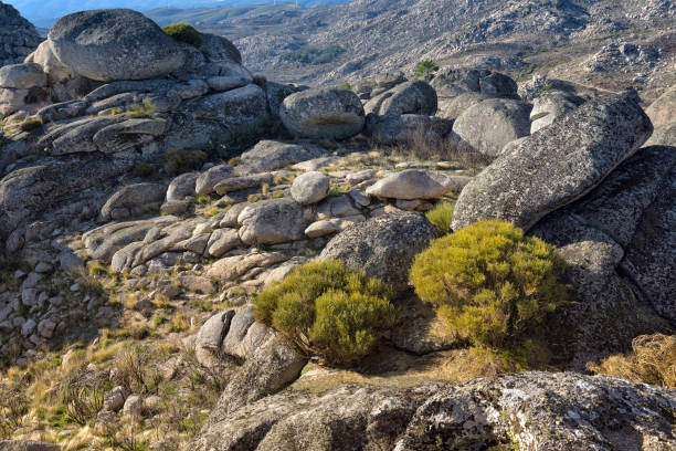 istock Rock Formations of the Mountains Serra da Estrella, Gardunha 1205963663
