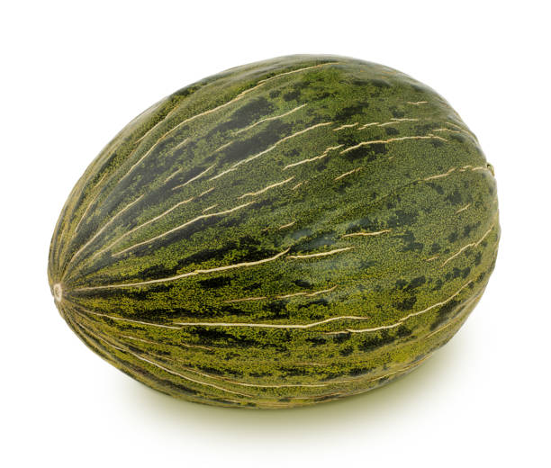 istock Fresh ripe melon isolated on a white background. 1205964482