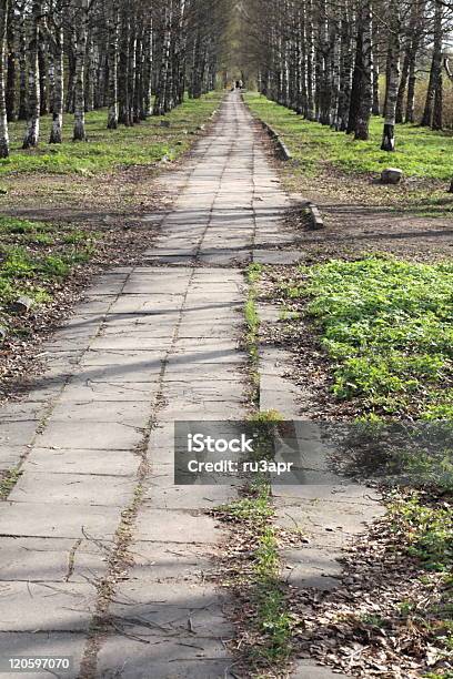 Primavera No Parque Da Cidade - Fotografias de stock e mais imagens de Abril - Abril, Andar, Ao Ar Livre