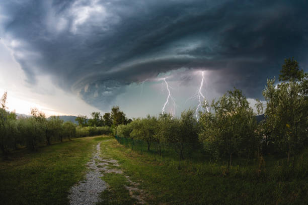 gradobicie błyskawica - summer landscape flash zdjęcia i obrazy z banku zdjęć