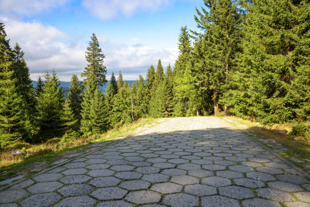 Forest red trail to the mountain shelter on Szrenicka Hall in Giant Mountains near Szklarska Poreba, Poland