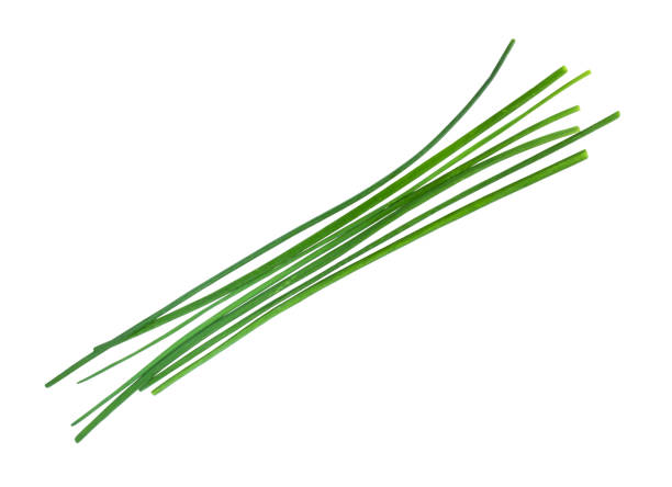 istock several fresh green leaves of chives cutout 1205982380