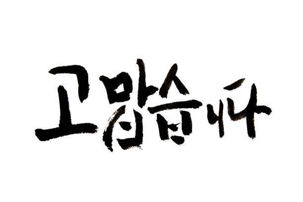 koreańska odręczna kaligrafia ,wdzięczny hangeul - thank you angielski zwrot stock illustrations