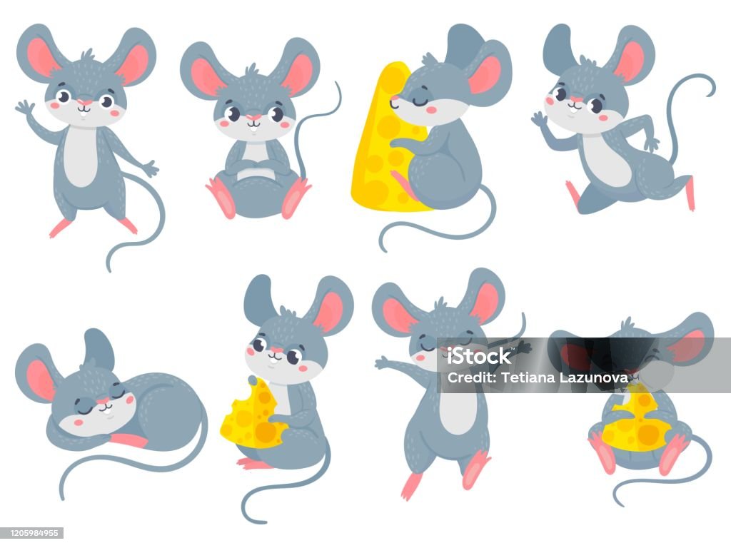 Cartoon Mouse Little Cute Mouses Funny Small Rodent Pet And Mice With  Cheese Vector Set Stock Illustration - Download Image Now - iStock