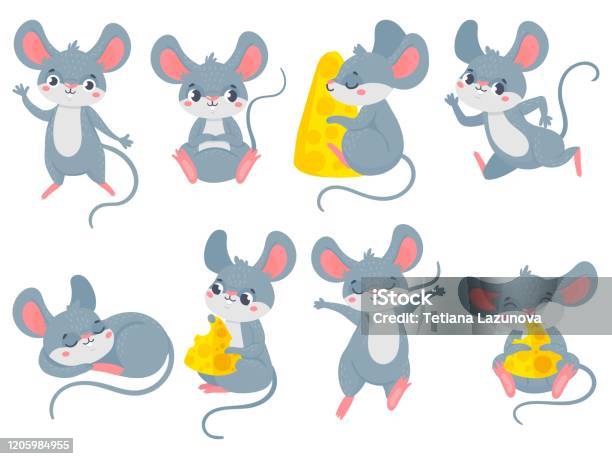 Cartoon Mouse Little Cute Mouses Funny Small Rodent Pet And Mice With  Cheese Vector Set Stock Illustration - Download Image Now - iStock