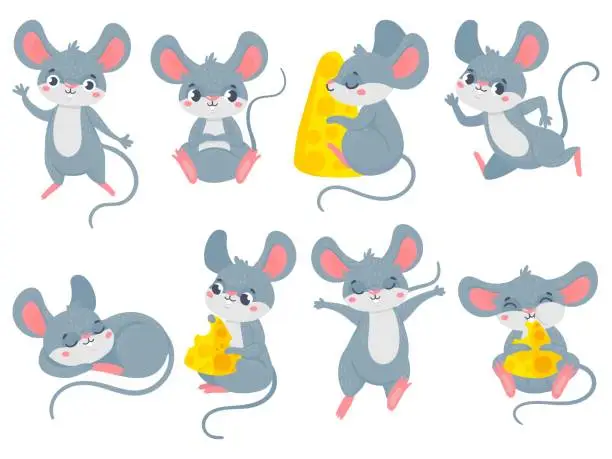 Vector illustration of Cartoon mouse. Little cute mouses, funny small rodent pet and mice with cheese vector set