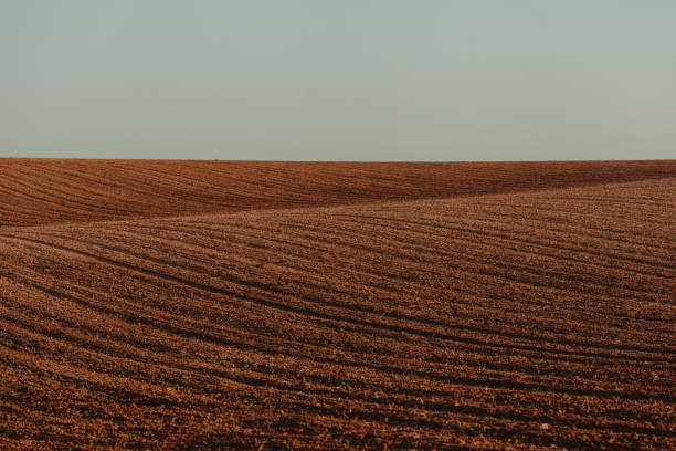 istock Scenic View Of Field Against Clear Sky 1205985097