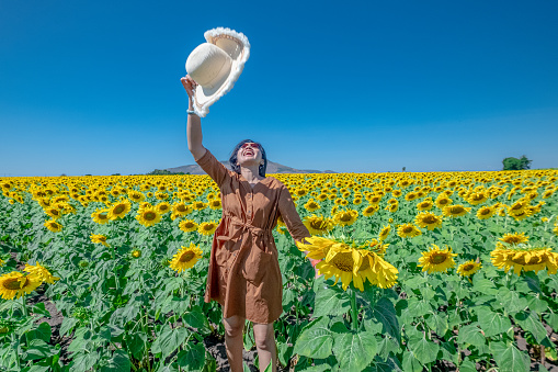 women traveling in a sunflower field