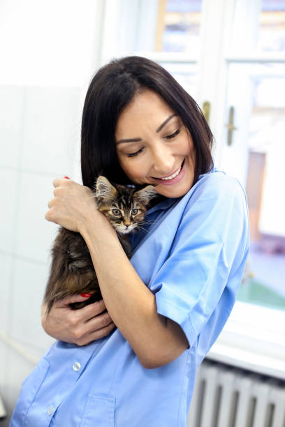istock Female veterinarian 1205990794