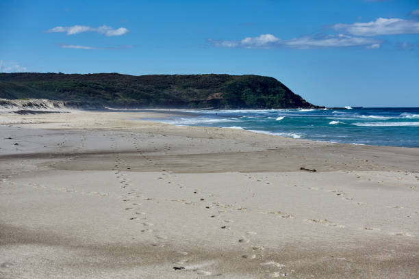 istock Scenes from Birdie Beach, Budgewoi, NSW 1205996733