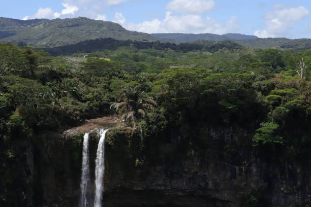 istock Chamarel Waterfall, Mauritius, Indian Ocean, Africa 1205996968