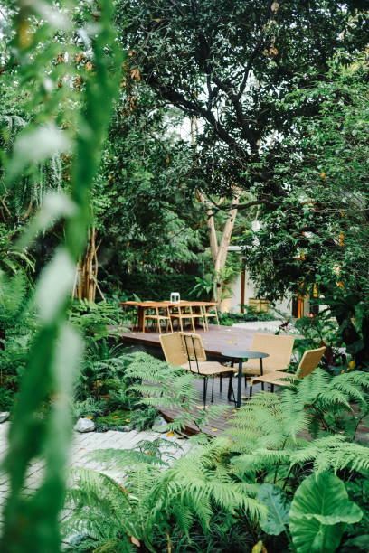 istock in the wood house 1205998776
