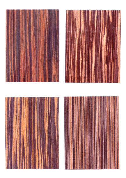 istock Samples of veneer wood on white background. Material for interior architecture and construction or furniture finishing design concept. 1206003369