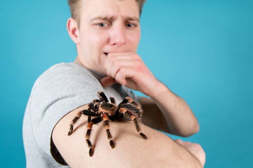 The man is scared and tries not to move, because he has a huge spider sitting on his hand