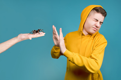A teenager shows disgust and refuses a large spider, which is held out by someone s hand