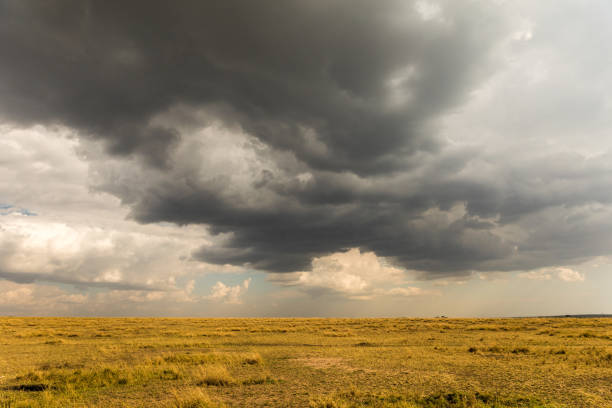 istock Serengeti Storm Rolls In 1206004892