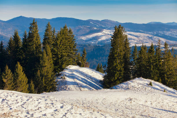 istock generic mountain landscape in Romania, winter scene 1206008747