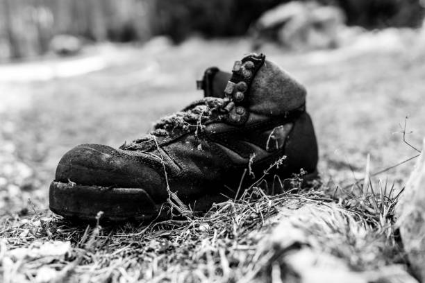 istock Old shoe in a wood 1206010223