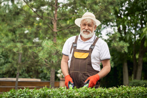 istock Cheerful senior man cutting overgrown bushes. 1206011257