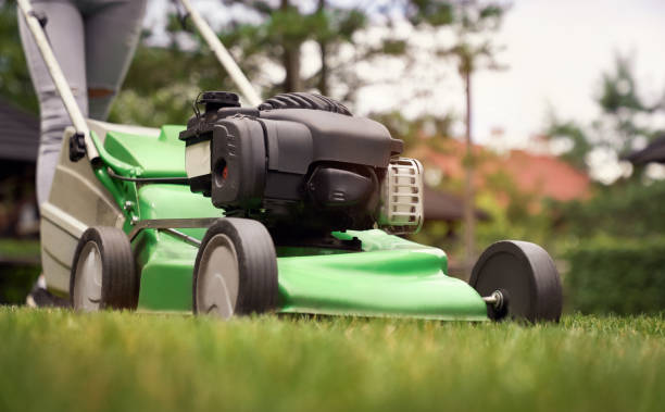 istock Female legs of woman using lawn mower. 1206011380