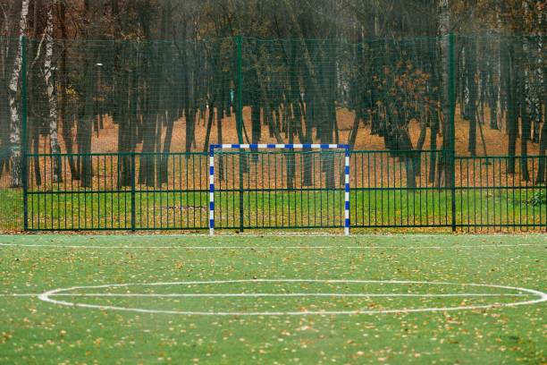 istock Artificial grass, sport field cover with soccer goal 1206020967