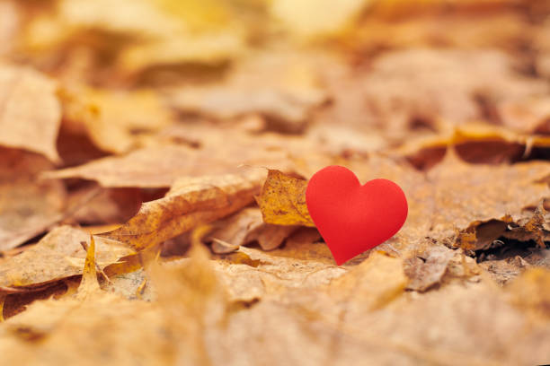 istock Infatuation or unrequited romantic love concept. 1206020989