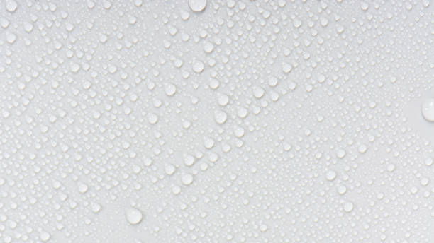 istock Close up water drops on black tone background. Abstract white gray wet texture with bubbles on plastic PVC surface or grunge. Realistic pure water droplets condensed. Detail of canvas leather texture 1206021461