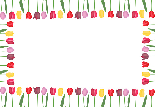 Tulips colorful - isolated vector frame. Usable for different purposes.