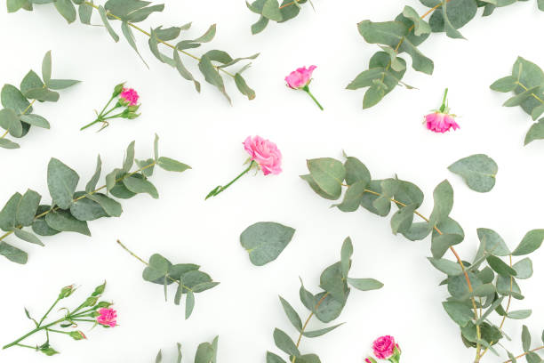 istock Floral pattern with eucalyptus branches and pink roses on white background. Flat lay. Top view 1206024744