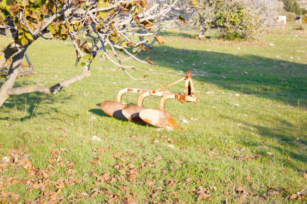 Old fashion rusted plough