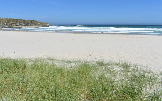istock Wild beach with grass on sand dunes, cliff and waves breaking with blue sky. Viveiro, Lugo, Galicia, Spain. 1206029851