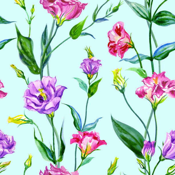 Eustoma seamless pattern on a blue background Eustoma seamless pattern on a blue background, watercolor illustration. Floral print for fabric or other designs. drawing of a green lisianthus stock illustrations