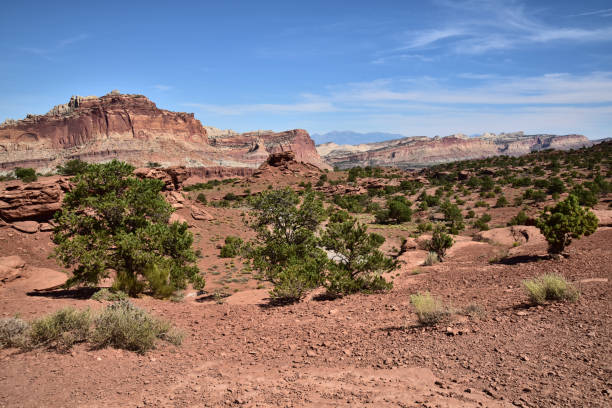 istock Capitol Reef National Park Scenery 1206030240