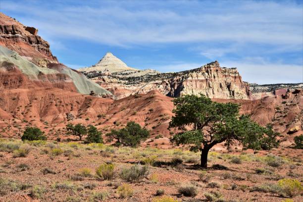 Golden Throne at Capitol Reef NP