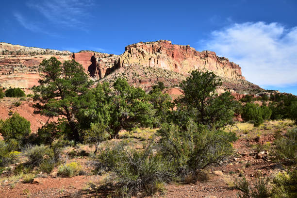 istock Capitol Reef National Park Scenery 1206031672