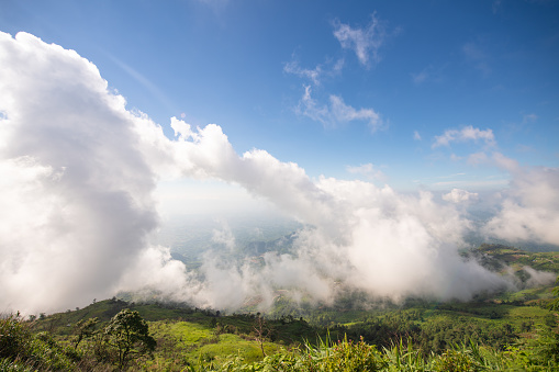 Beautiful view to sky, clouds and jungle from the top of hill