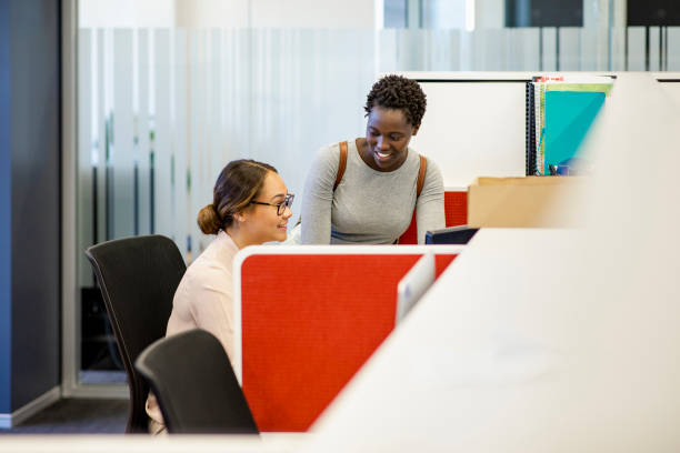 Sharing Her Knowledge in the Workplace Two women in an office of a medical building. One woman is sitting down at her workstation while the other is standing over her smiling two heads are better than one stock pictures, royalty-free photos & images