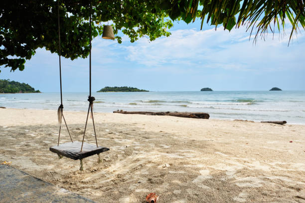 istock A swing under shade of tree at the beach, Asian beach vacations 1206035531