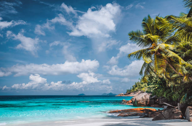 istock Perfect tropical tranquil beach. Pristine crystal clear ocean water with blue sky and white clouds. Summer time vacation and lifestyle 1206037347