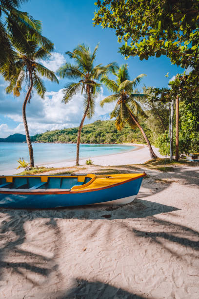 isola di mahe, seychelles. barca colorata vivace locale sotto palme da cocco in una giornata di sole sulla riva della spiaggia tropicale - seychelles foto e immagini stock