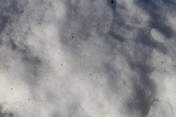 istock Snowy Ground in Finland during Wintertime 1206042718