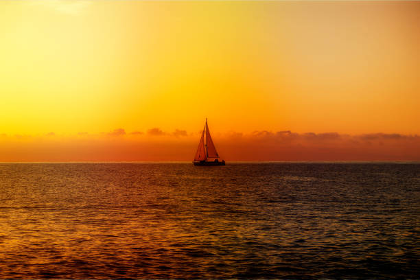 istock A sailboat sailing with the sunrise sun 1206043330