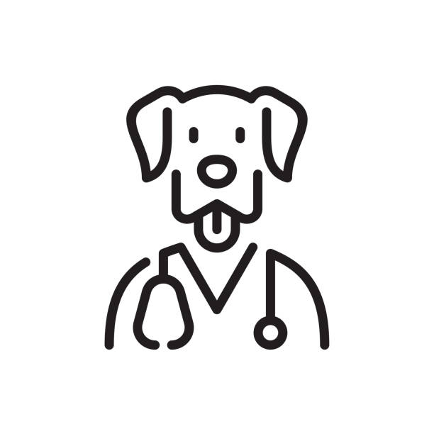 собака врач линии значок - vet veterinary medicine dog doctor stock illustrations