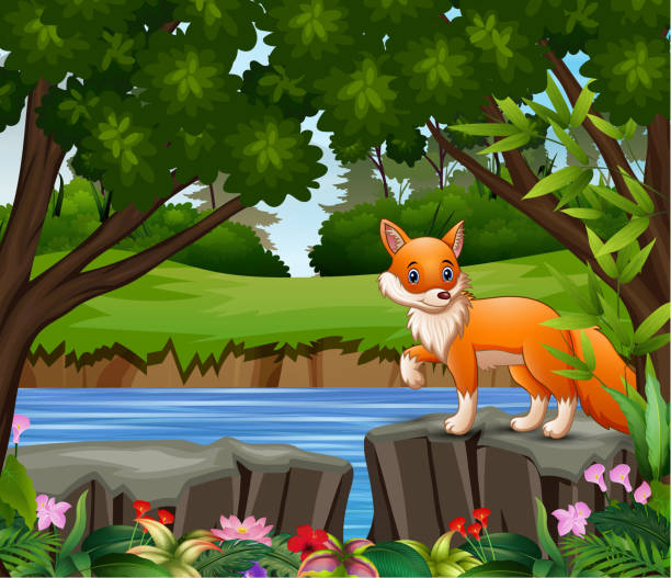 ein fuchs-cartoon spielt im park - 11320 stock-grafiken, -clipart, -cartoons und -symbole