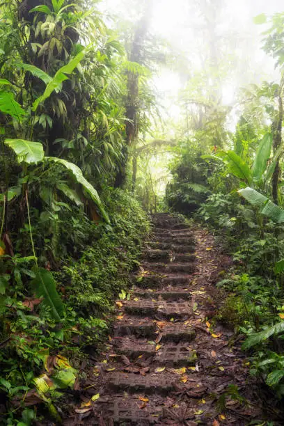 The Monteverde Cloud Forest Reserve (Reserva Biológica Bosque Nuboso Monteverde) is a Costa Rican reserve located along the Cordillera de Tilarán within the Puntarenas and Alajuela provinces.