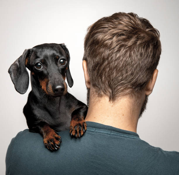istock Dog owner holding the dog over his shoulder 1206048601