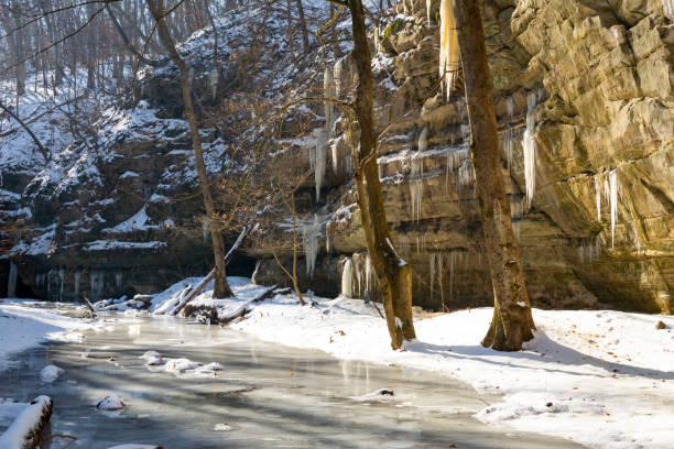 zamarznięte szlaki w zimny zimowy poranek.  zagłodzony park rockowy, illinois, stany zjednoczone ameryki. - 5519 zdjęcia i obrazy z banku zdjęć