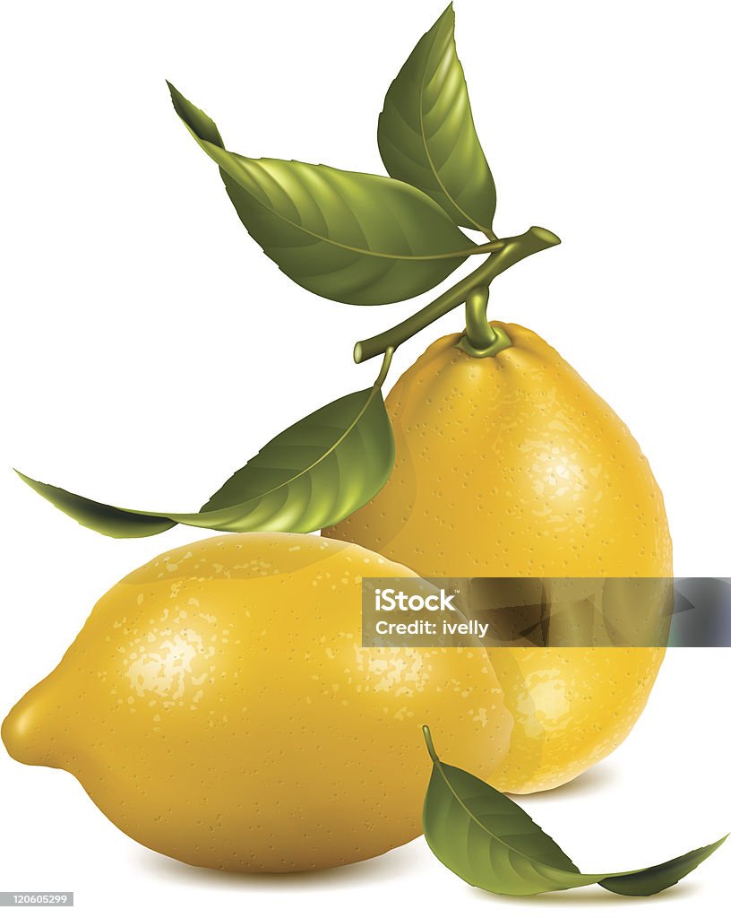Citrons frais avec des feuilles. - clipart vectoriel de Agrume libre de droits