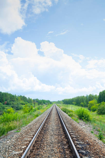 istock A railway through the summer green fields.  Beautiful green railway tree landscape sky. Beautiful landscape. Railway transport. Vertical 1206053654